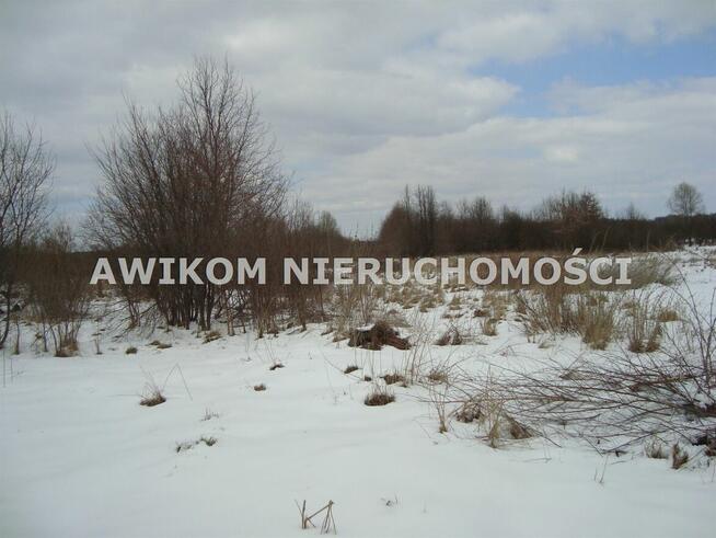 Działka Kaleń-Towarzystwo gm. Żabia Wola