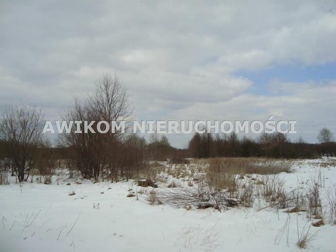 Działka Kaleń-Towarzystwo gm. Żabia Wola