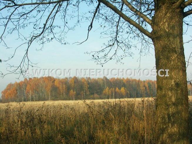 Działka Skierniewice Borowiny