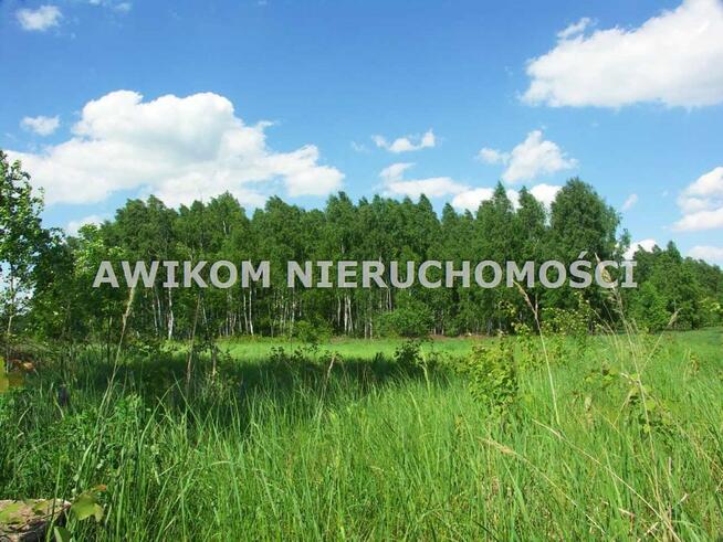 Działka Skierniewice Borowiny
