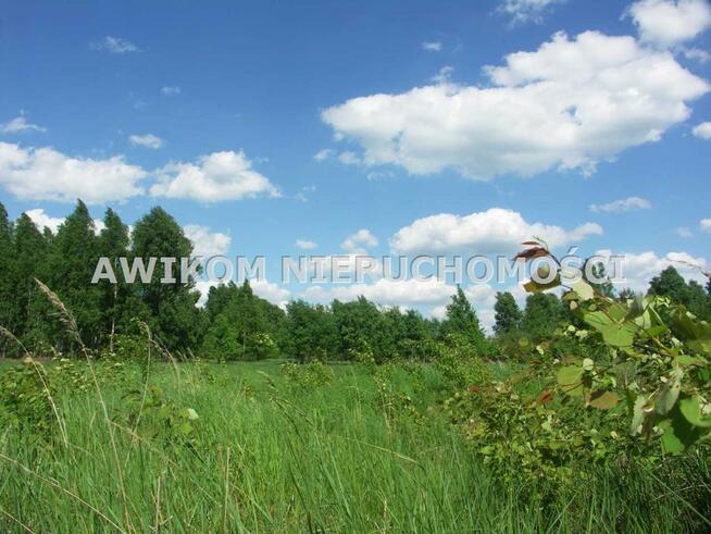 Działka Skierniewice Borowiny