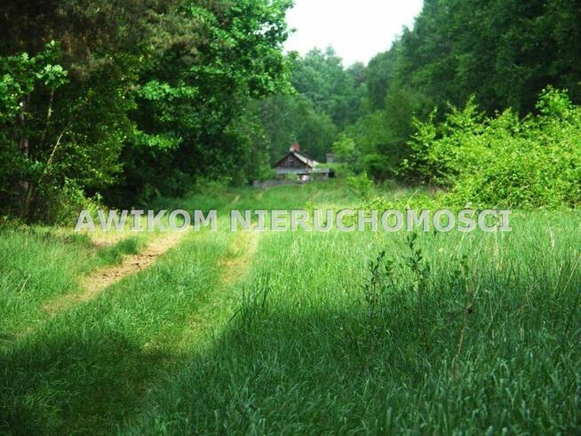 Działka Skierniewice Borowiny