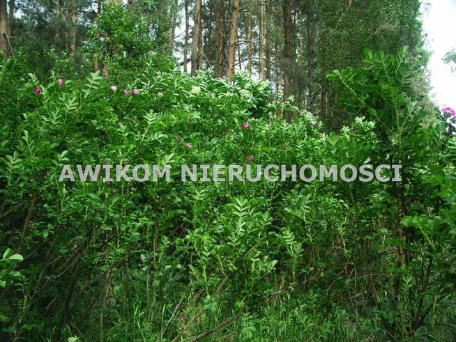 Działka Skierniewice Borowiny