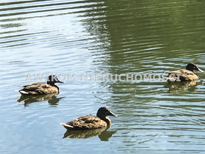 Działka Książenice gm. Grodzisk Mazowiecki