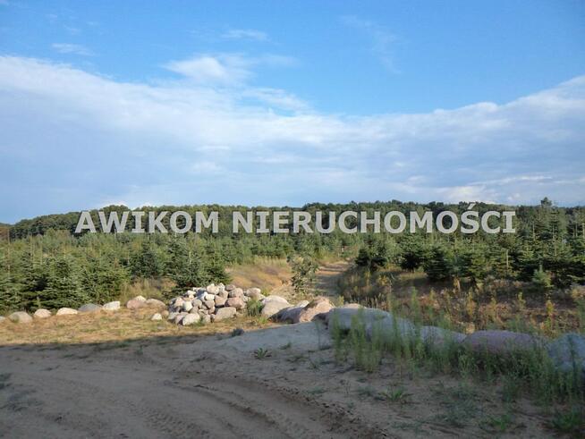 Dom Żabia Wola Grzegorzewice
