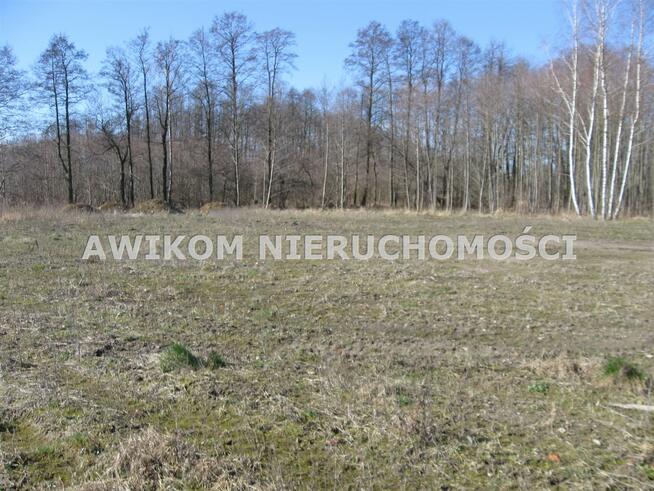 Działka budowlana Władków gm. Grodzisk Mazowiecki