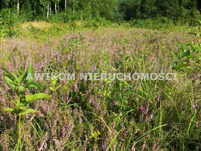 Działka rolna Skierniewice Borowiny