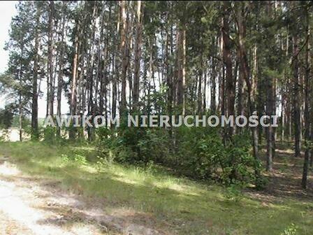 Działka budowlana Żabia Wola Piotrkowice