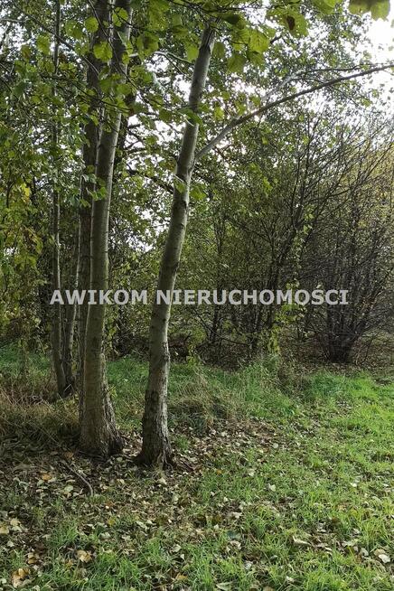 Działka budowlana Jaktorów Budy-Grzybek