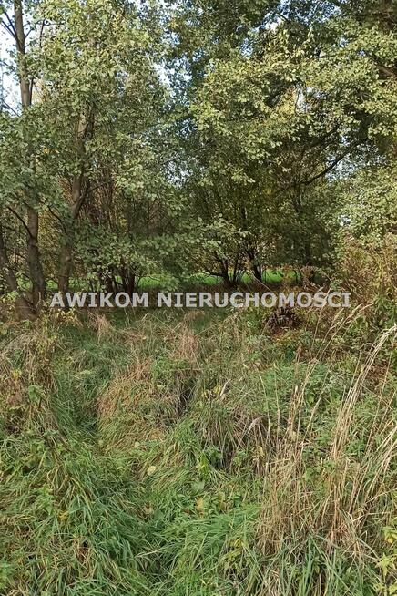 Działka budowlana Jaktorów Budy-Grzybek