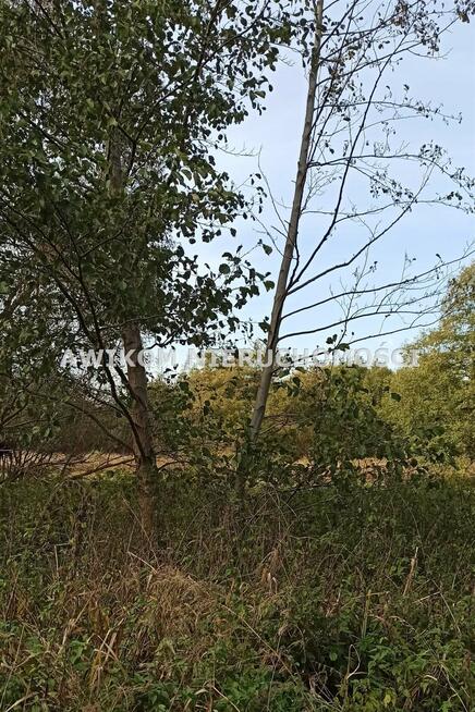 Działka budowlana Jaktorów Budy-Grzybek