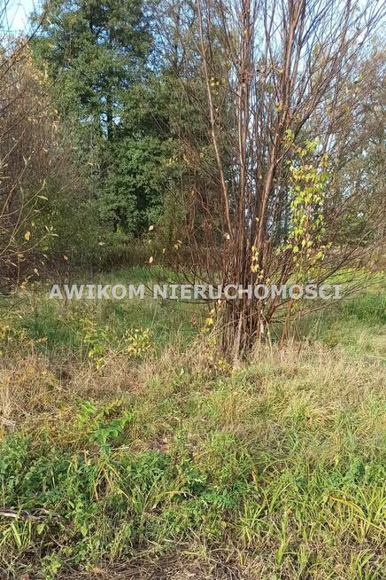 Działka budowlana Jaktorów Budy-Grzybek