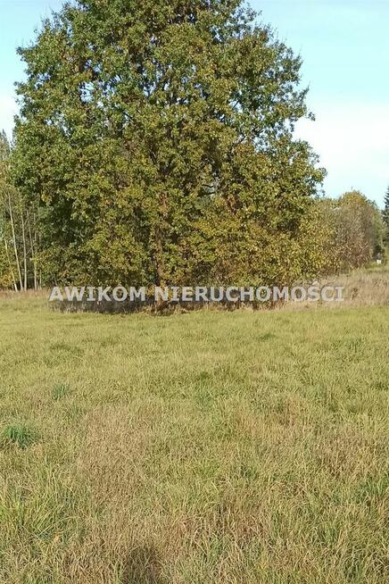 Działka budowlana Jaktorów Budy-Grzybek