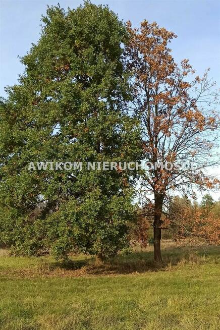 Działka budowlana Jaktorów Budy-Grzybek