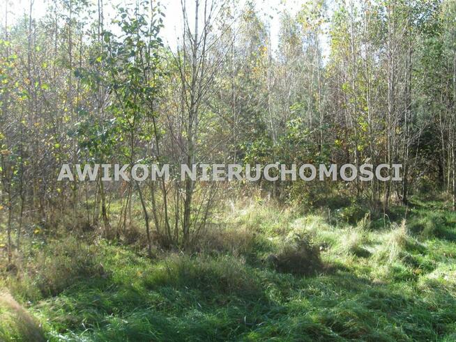 Działka budowlana Budy Mszczonowskie gm. Radziejowice