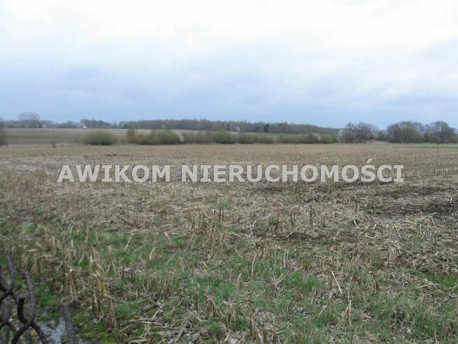 Działka siedliskowa Gurba gm. Mszczonów