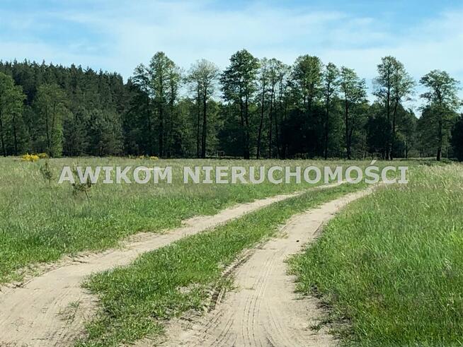 Działka leśna Nidzica Wały