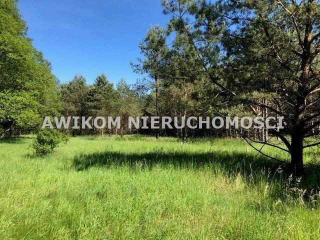 Działka leśna Nidzica Wały