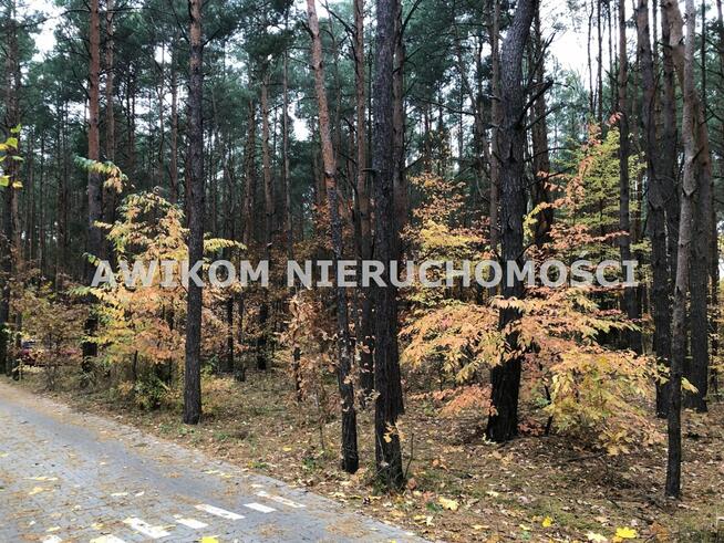 Działka leśna Nidzica Wały