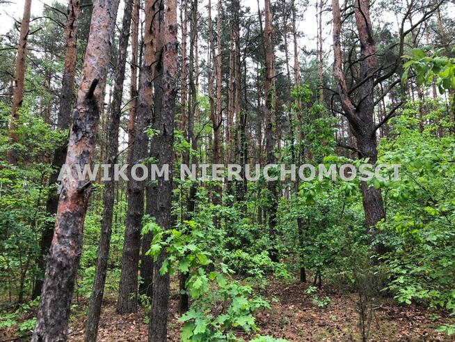 Działka leśna Nidzica Wały
