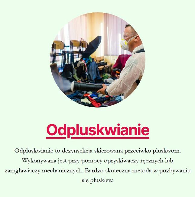 Dezynsekcja - karaluchy, pluskwy, mrówki, osy, świerzbowiec