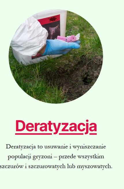 Dezynsekcja - karaluchy, pluskwy, mrówki, osy, świerzbowiec