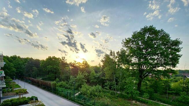 Przestronne mieszkanie z widokiem na las!