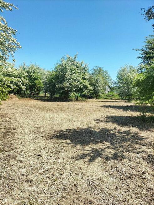 Przyjmę zlecenia na usługi ogrodnicze oraz rolnicze