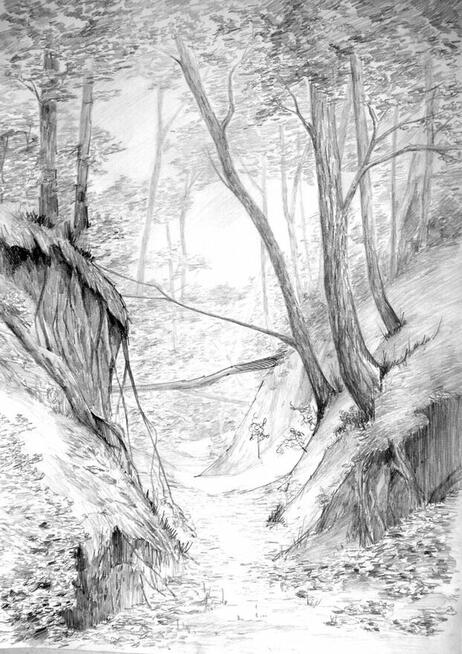 KURS RYSUNKU ELIPSA KRAKÓW