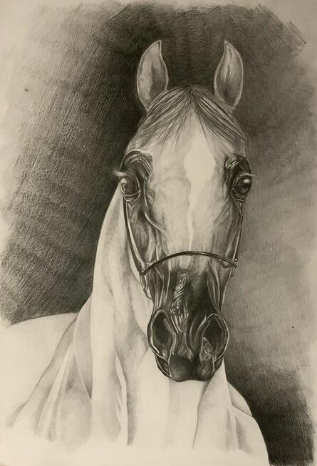 KURS RYSUNKU ELIPSA KRAKÓW