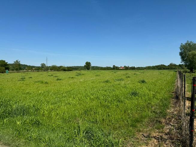 Działka Dębowiec