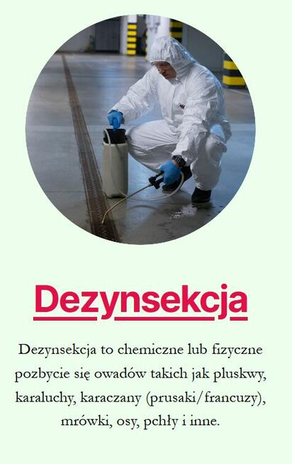 Dezynsekcja - karaluchy, pluskwy, mrówki, osy, świerzbowiec