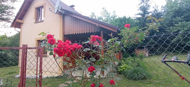 Domek do wynajęcia.