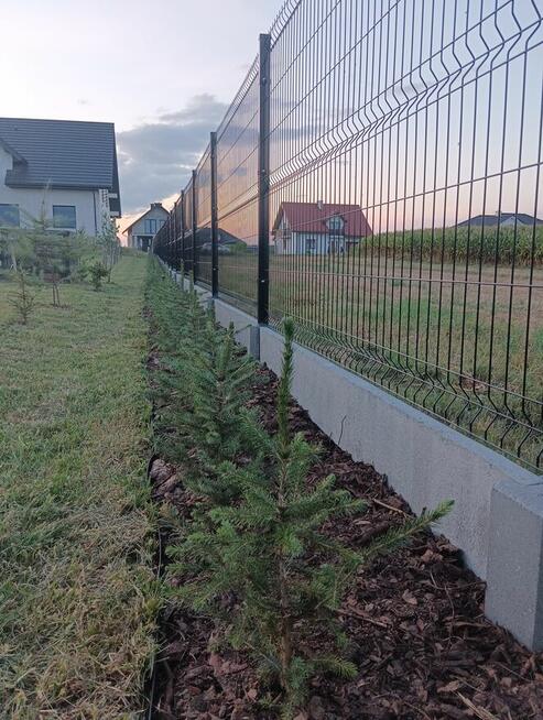 Remonty, wykończenia, Złota Rączka