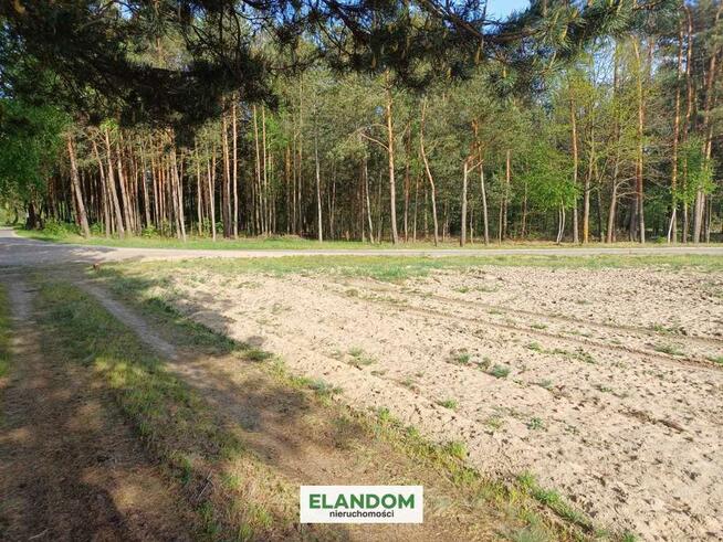 Działka rolno budowlana Gocław gmina Pilawa