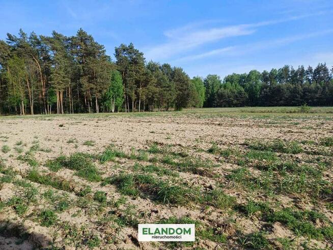 Działka rolno budowlana Gocław gmina Pilawa