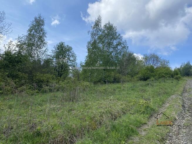 Działka leśna Jaszczurowa gm. Mucharz