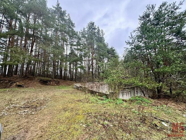 Działka rolno-budowlana Sochonie gm. Wasilków, Dębowa