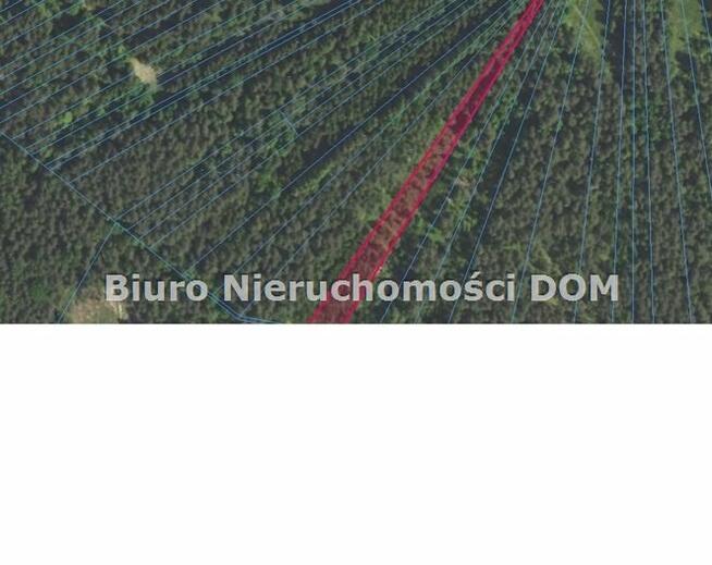 Działka leśna Jamki gm. Konopiska