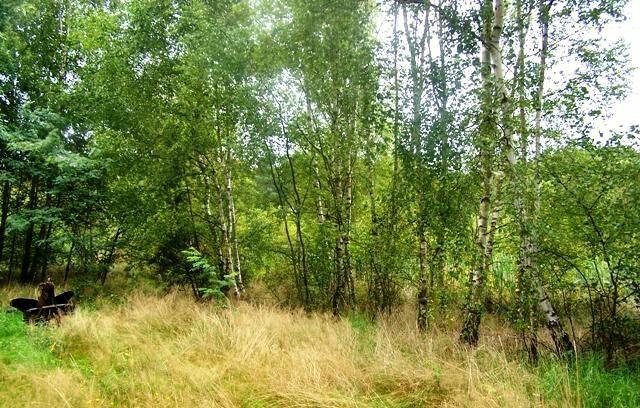 Działka rekreacyjna Marylin gm. Drawsko,