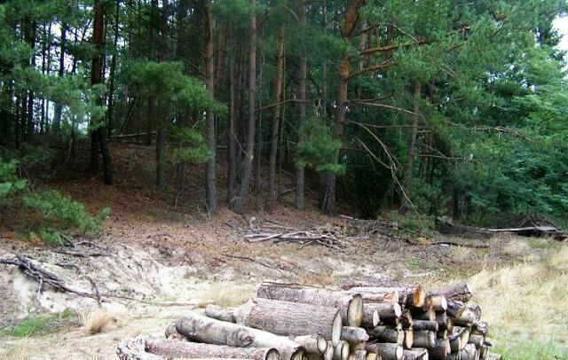 Działka rekreacyjna Marylin gm. Drawsko,