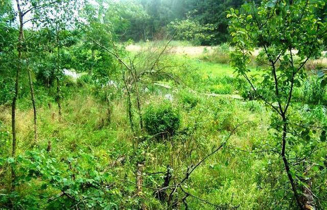 Działka rekreacyjna Marylin gm. Drawsko,