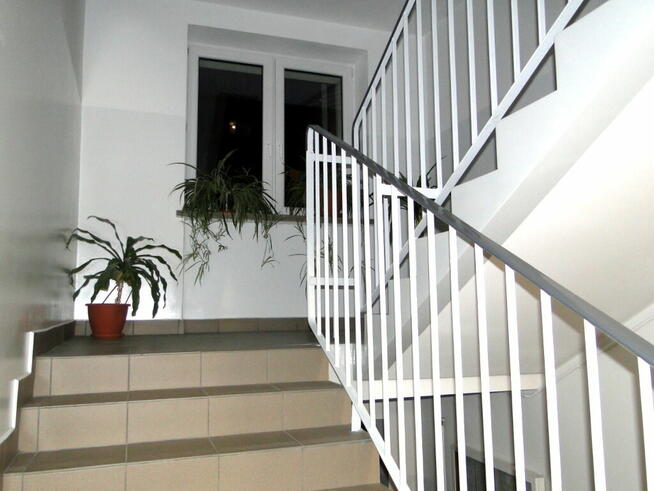 Можливість. 3 pokoje - parter- cegła- duża piwnica.