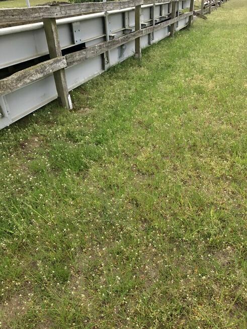 Most skręcany 11 metrów na 4 metry .