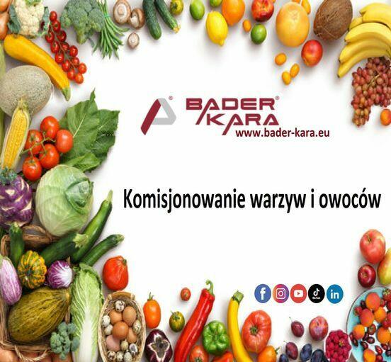 Bader Kara Personalservice