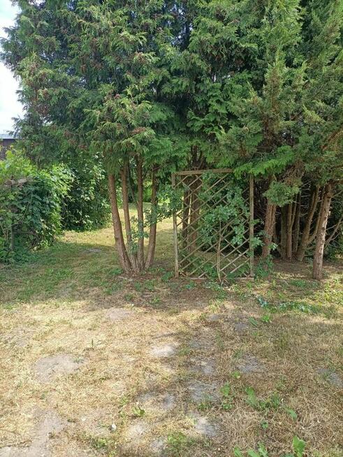 Knyszyn - bezczynszowe mieszkanie na sprzedaż - 90.000,- zł