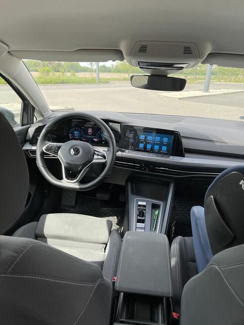 Golf 8 1.5 etsi aso serwisy