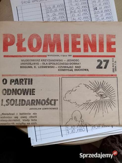 Dyplom, praca magisterska, doktorska, roczniki gazet