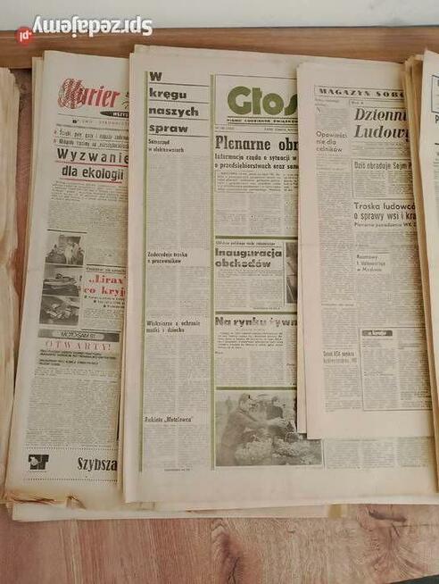 Dyplom, praca magisterska, doktorska, roczniki gazet