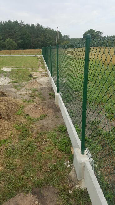 Siatka ogrodzeniowa I Producent I Siatka 2/3.1mm 1.5m-13 zł